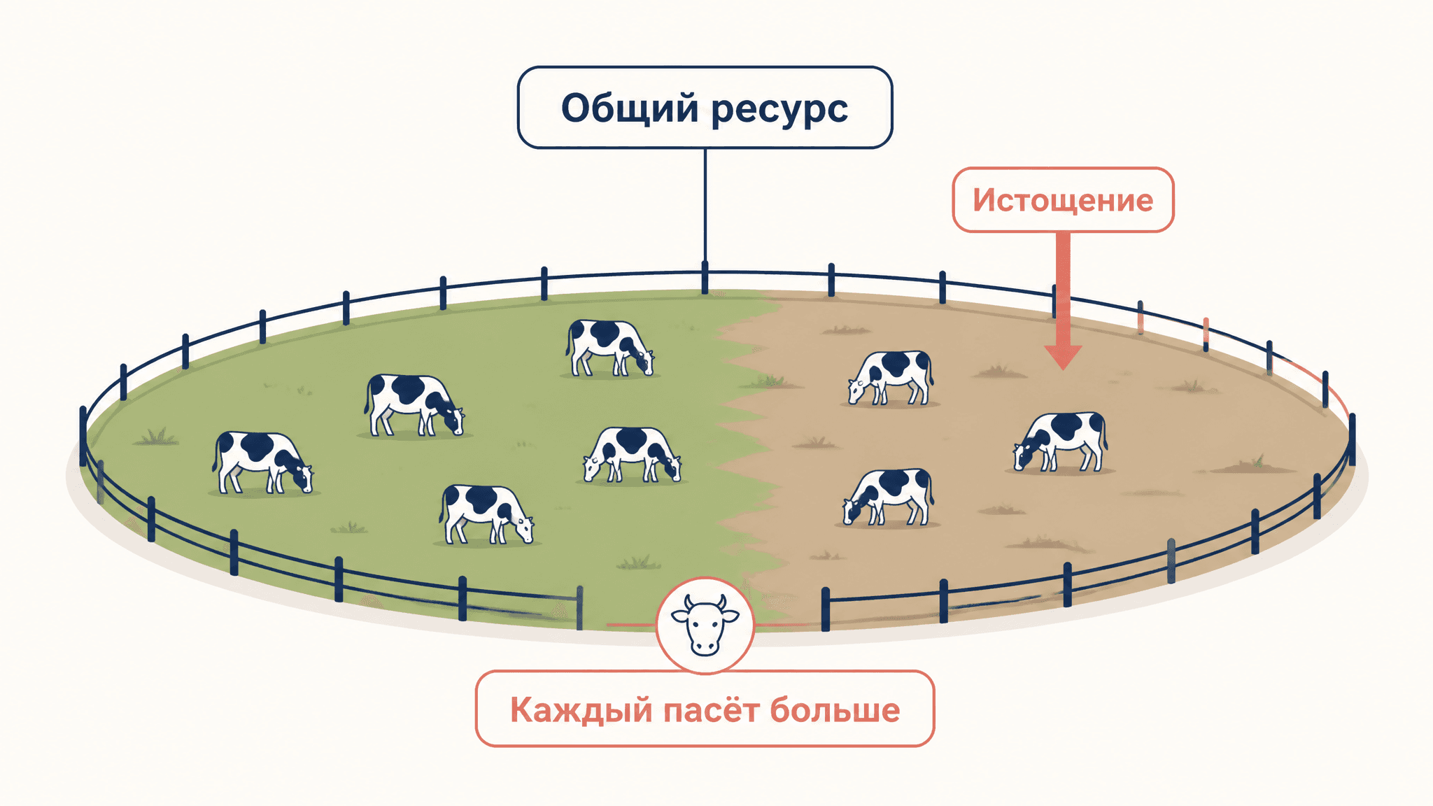 Трагедия общин Хардина: почему общий ресурс истощается