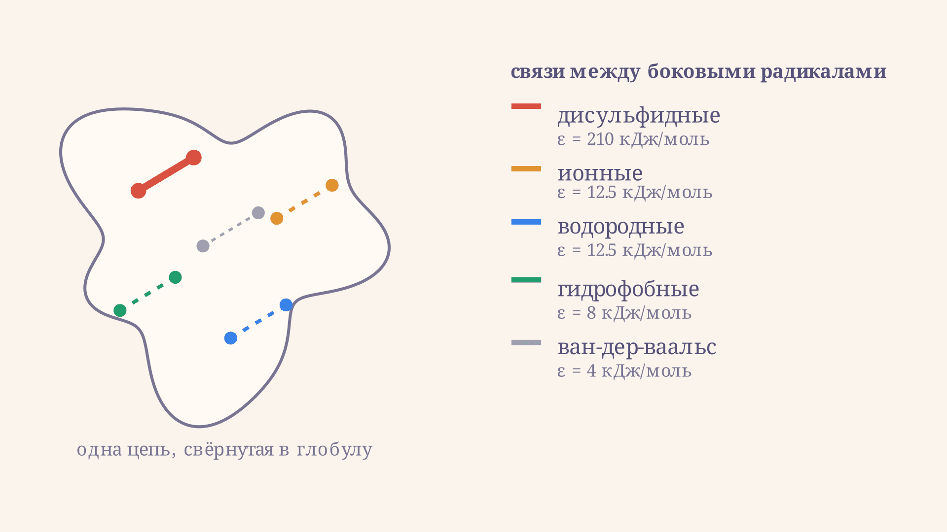 Третичная структура белка: типы связей