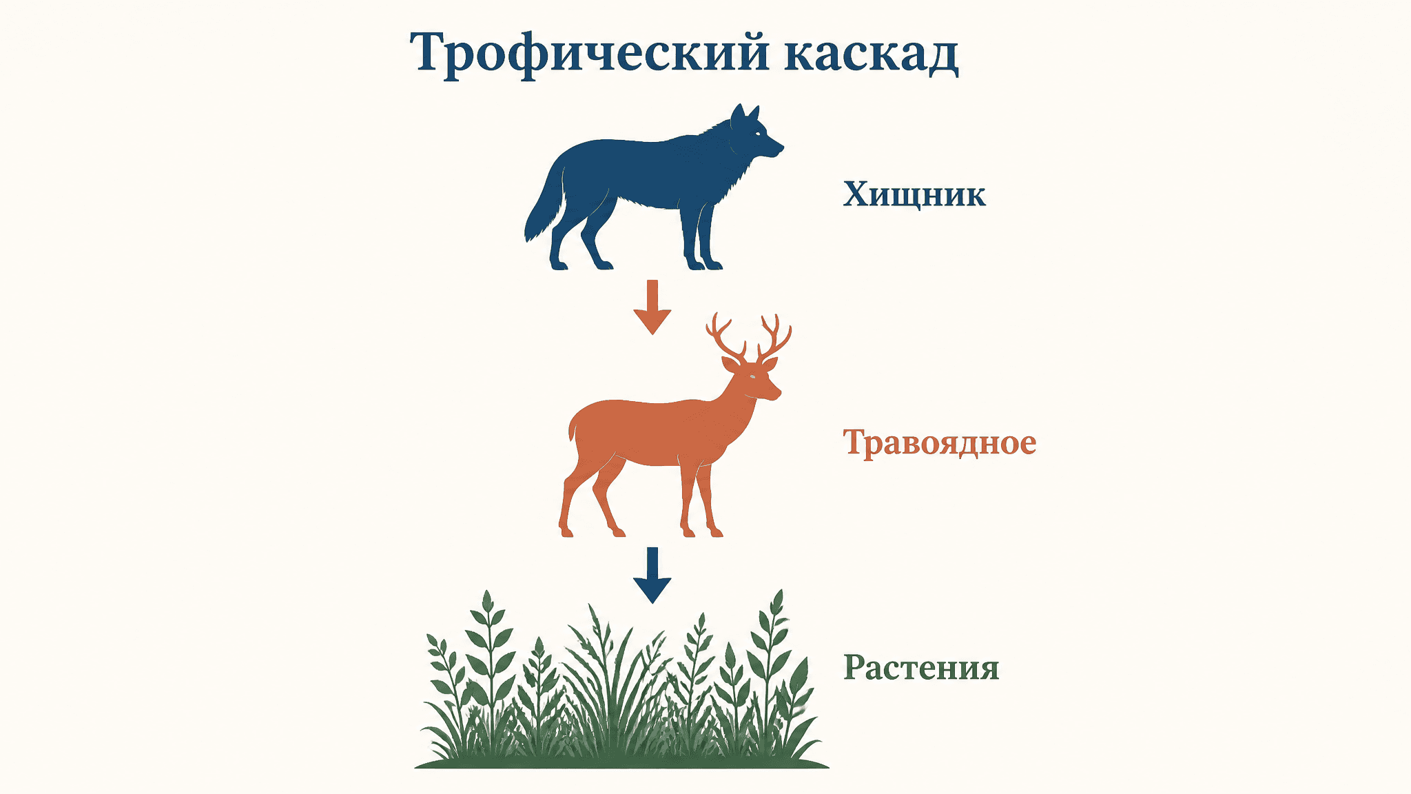 Трофический каскад в экосистеме: как хищник меняет всё