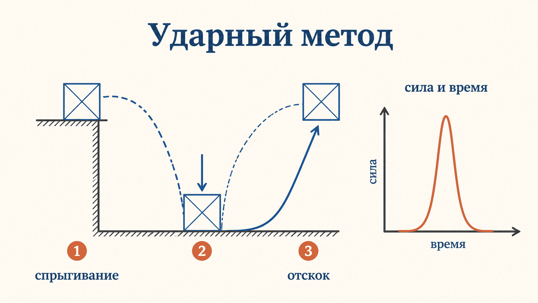 Ударный метод Верхошанского: тренировка взрывной силы