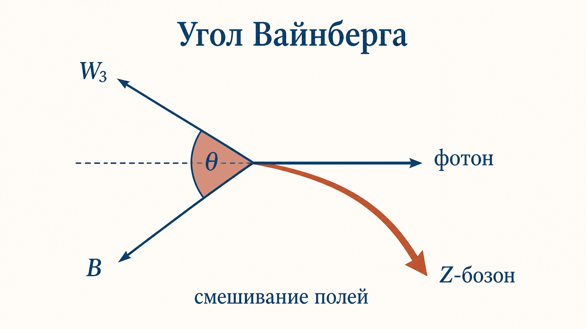 Угол Вайнберга: что это и как связывает электрослабые силы
