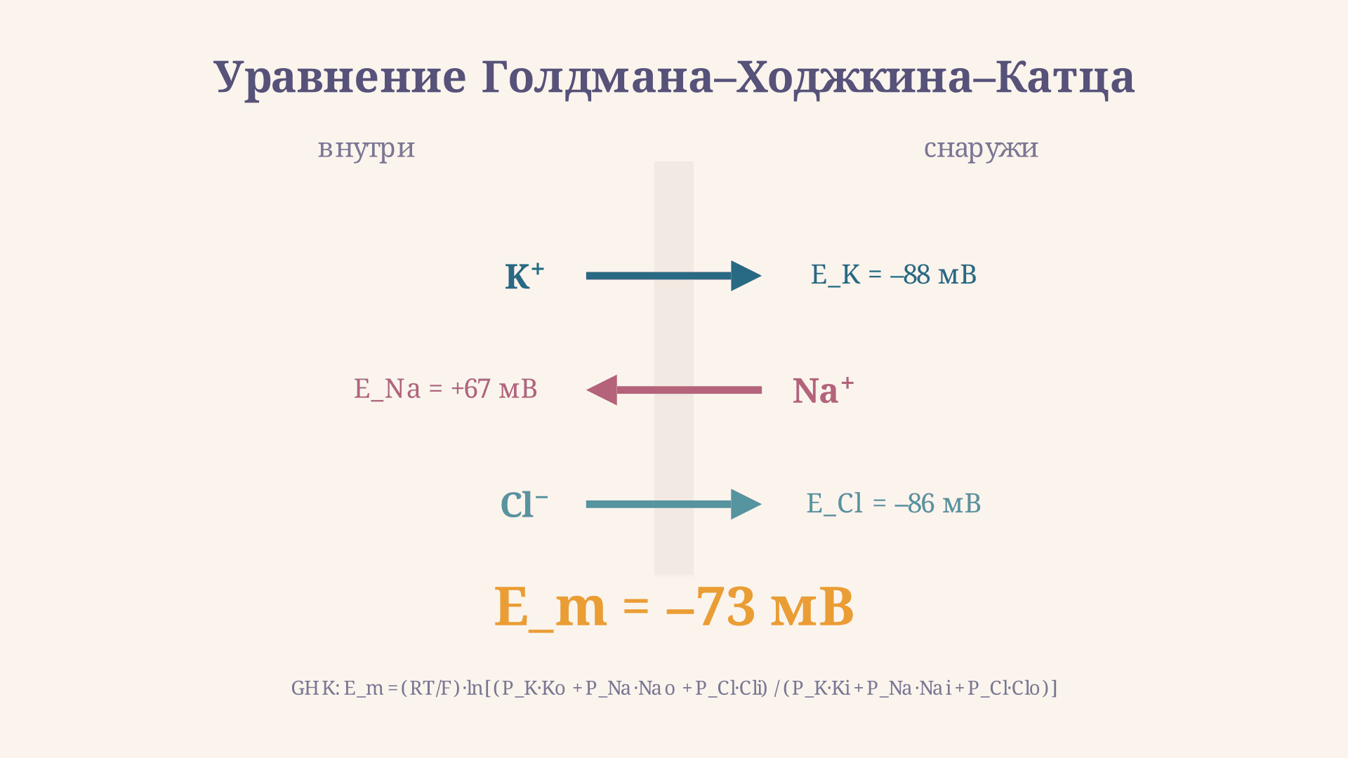 Уравнение Голдмана-Ходжкина-Катца: потенциал покоя