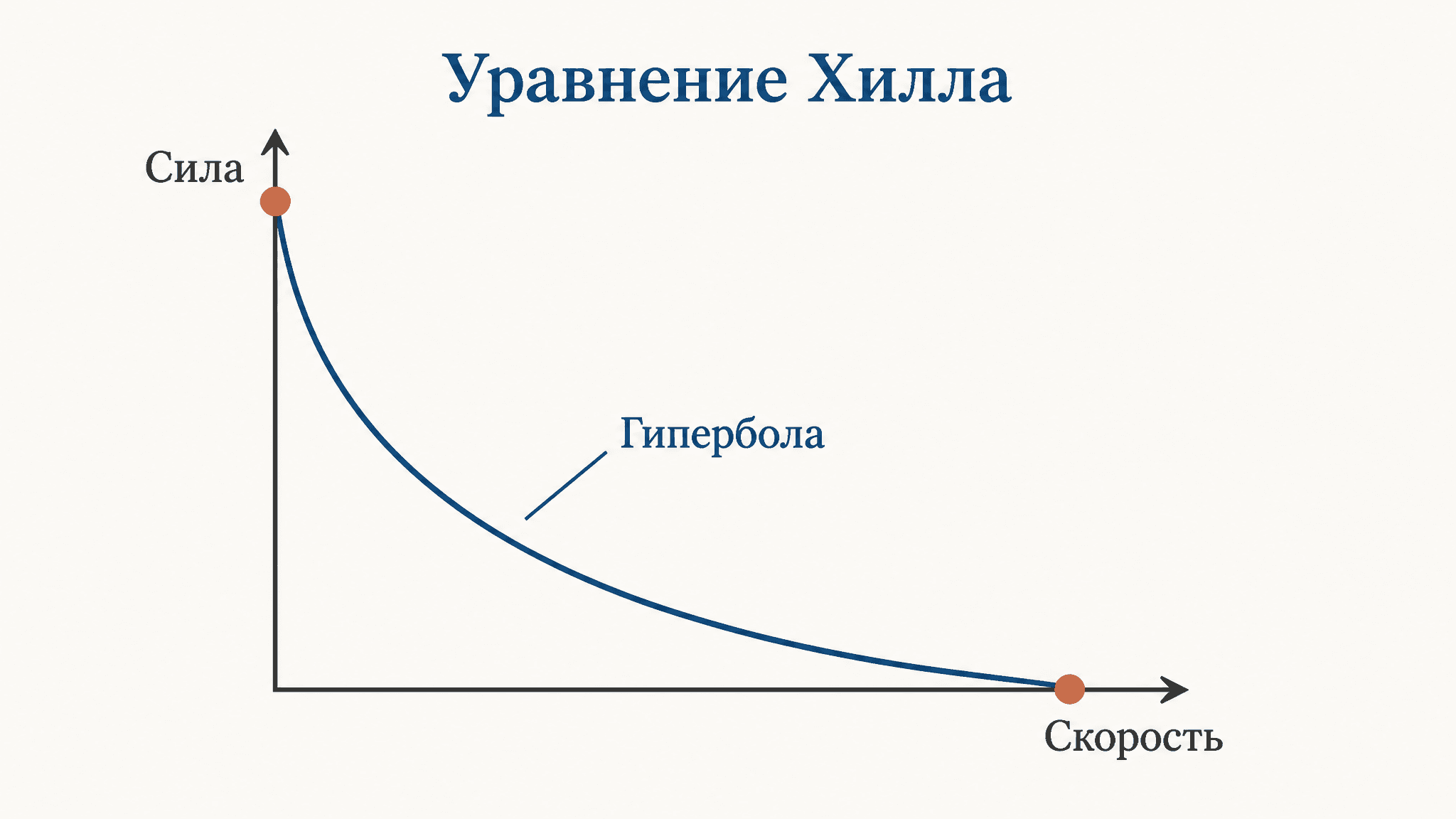 Уравнение Хилла для мышцы: сила и скорость