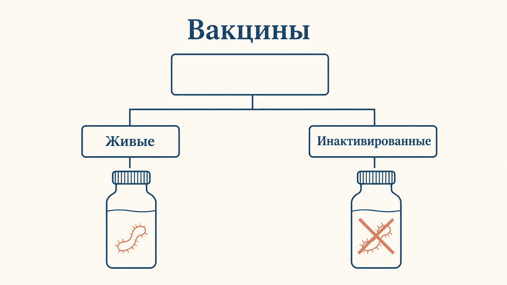 Вакцины: классификация, живые и инактивированные