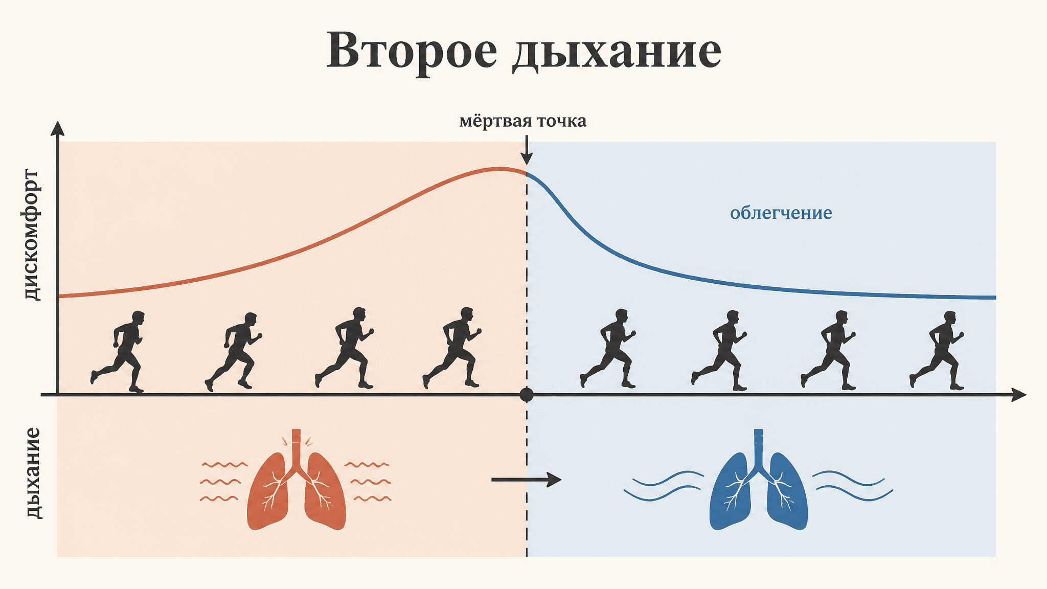 Второе дыхание: физиология явления и мёртвая точка