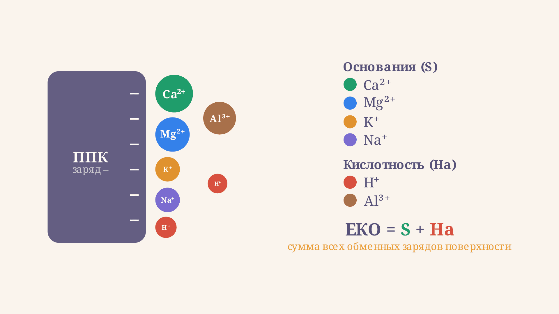Ёмкость катионного обмена почвы: формула и расчёт ЕКО