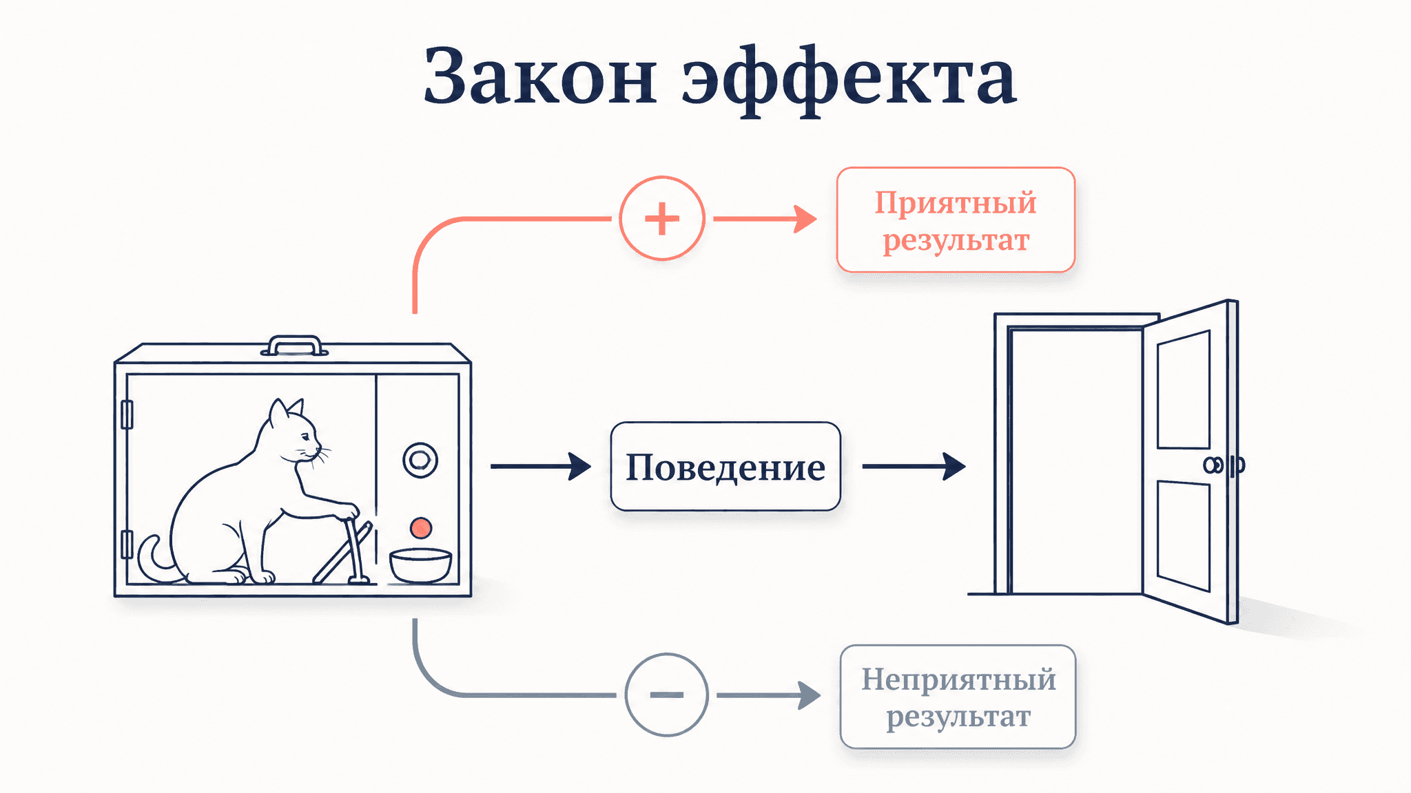 Закон эффекта Торндайка: суть, опыты и формулировки