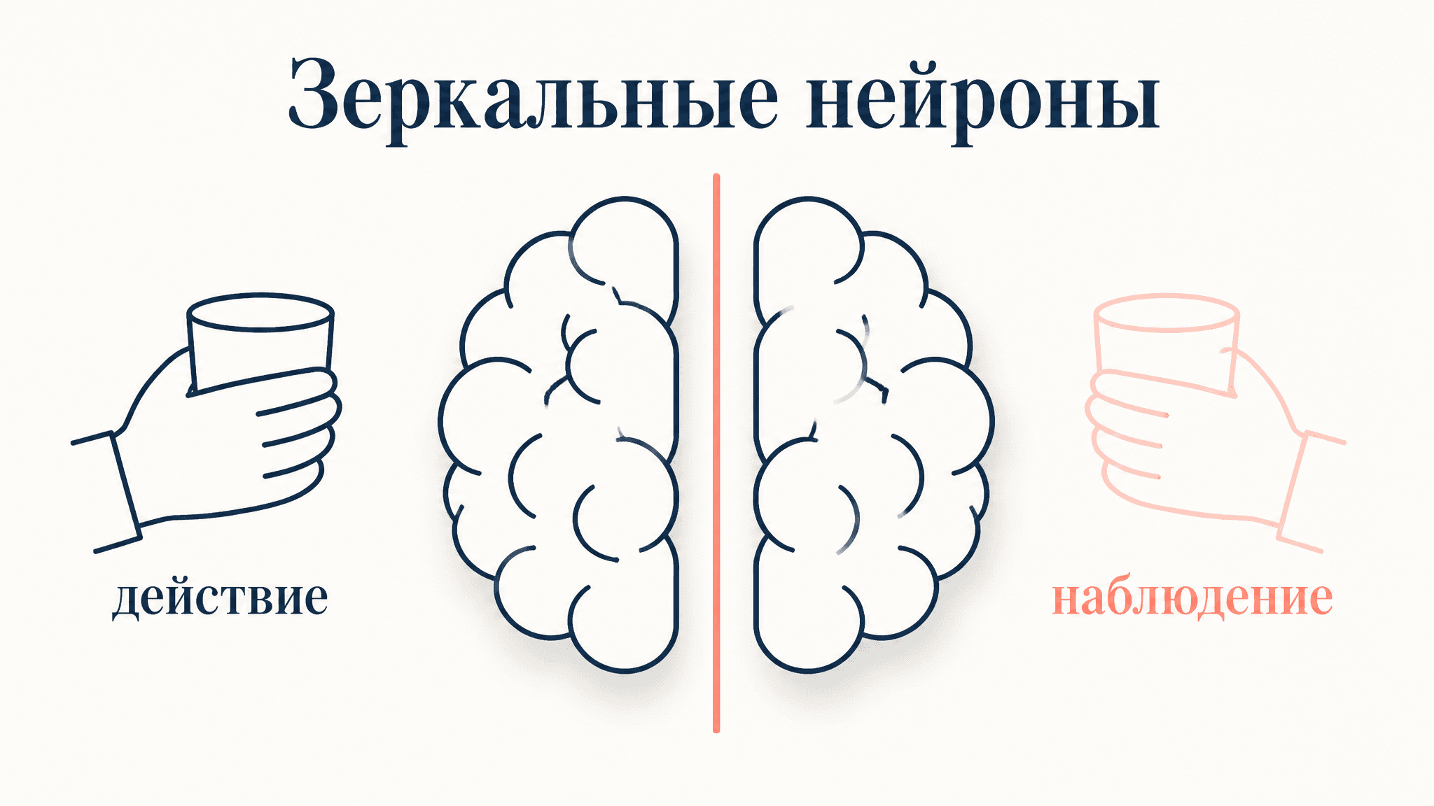 Зеркальные нейроны Риццолатти: механизм понимания действий