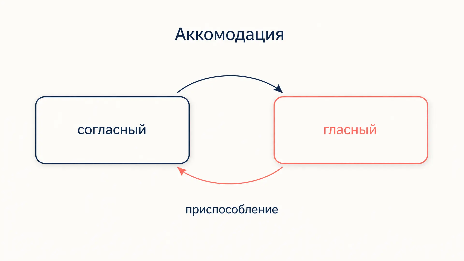 Аккомодация в фонетике: как звуки приспосабливаются