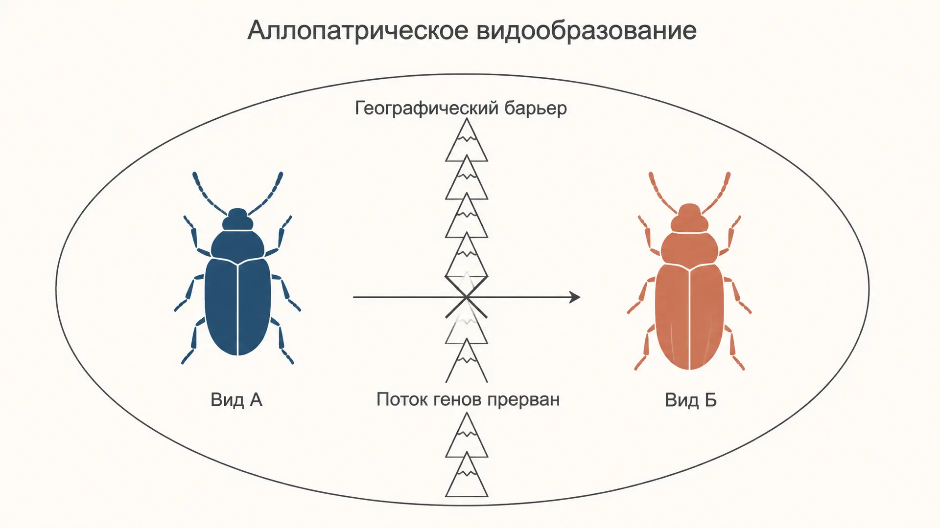 Аллопатрическое видообразование: как возникают виды