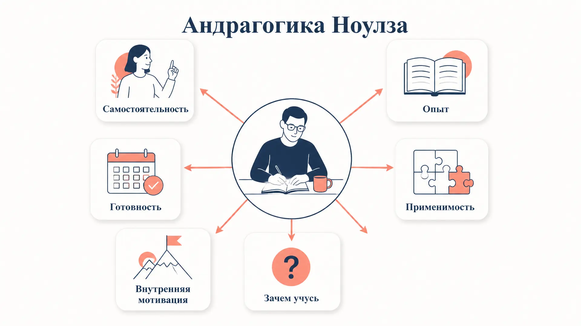 Андрагогика Ноулза: 6 принципов обучения взрослых