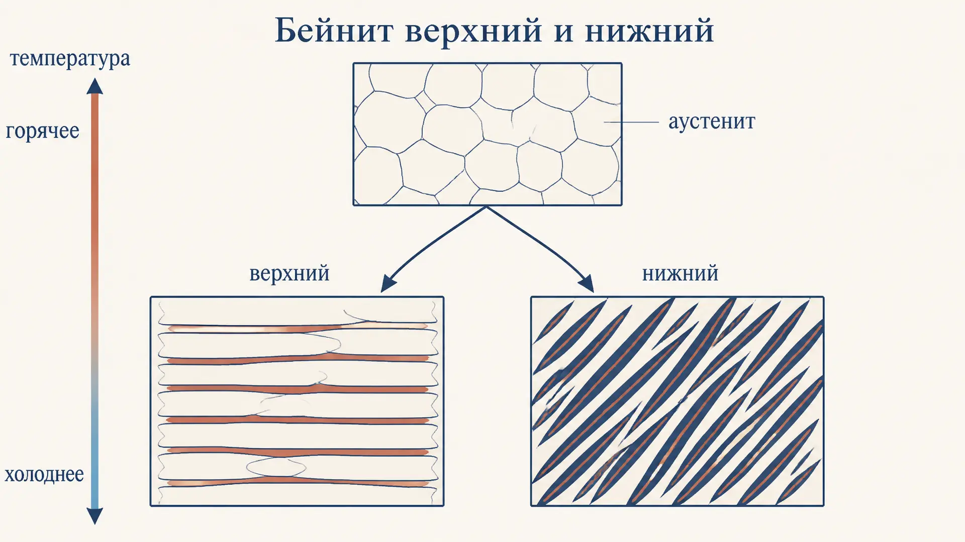 Бейнит верхний и нижний: чем отличаются эти структуры