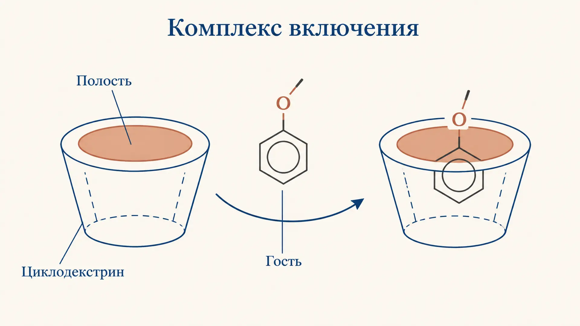 Циклодекстрины: комплексы включения и константа связывания