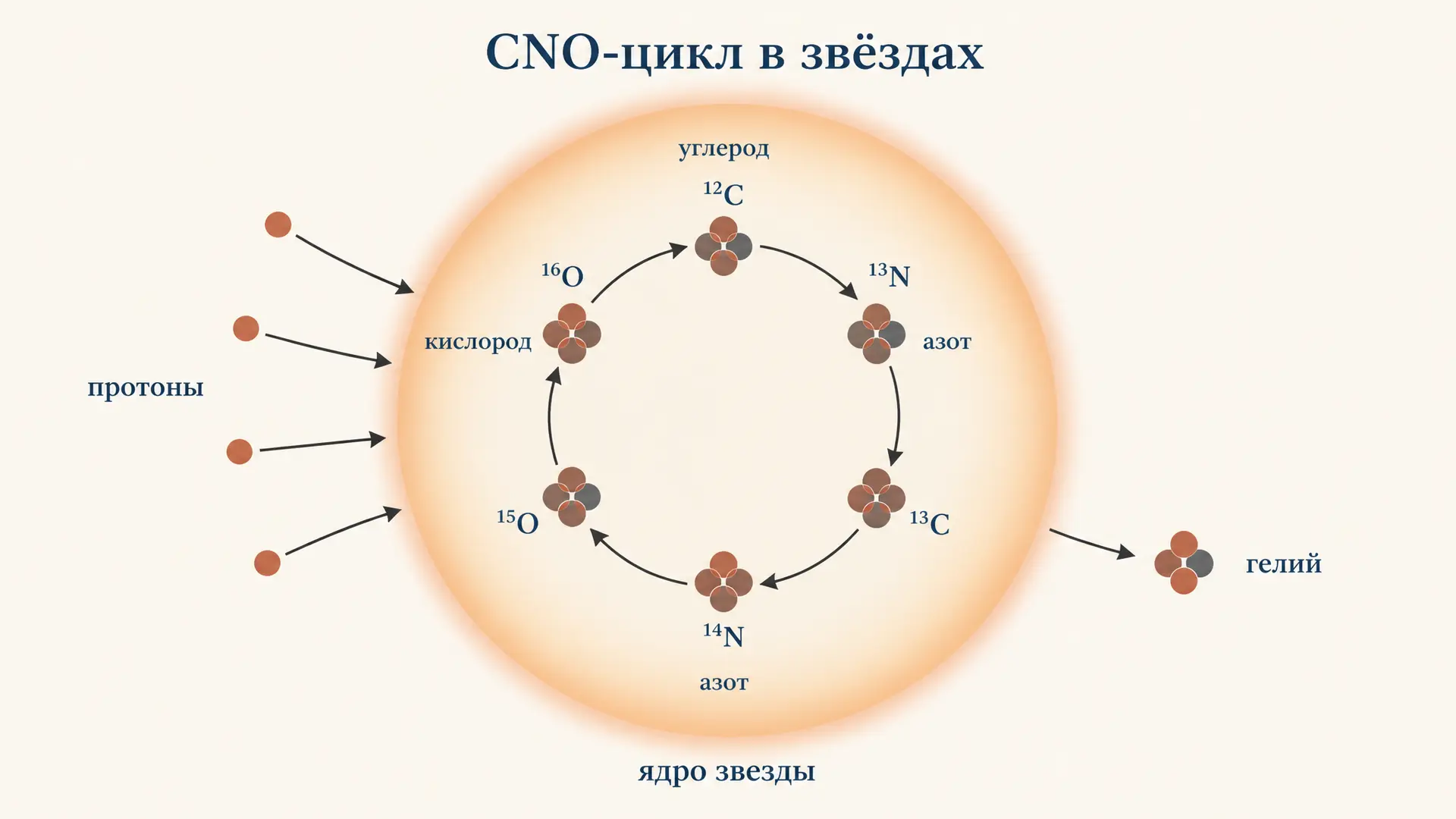 CNO-цикл в звёздах: как углерод и азот жгут водород