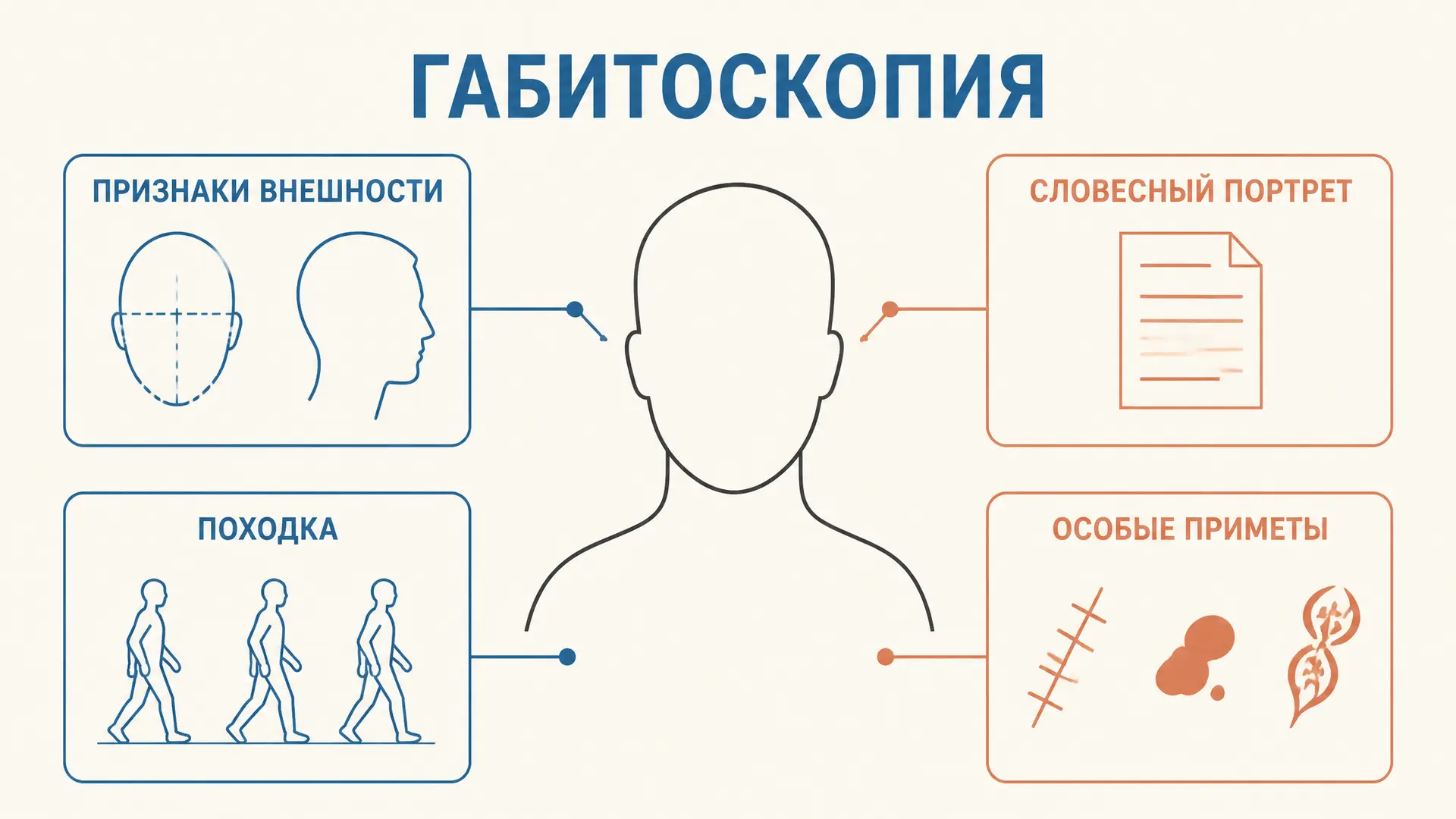 Габитоскопия: признаки внешности и словесный портрет