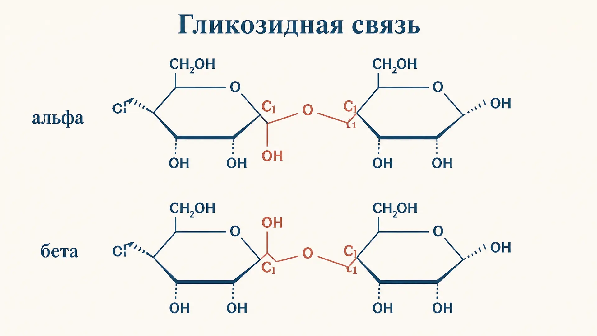 Гликозидная связь: типы и механизм образования