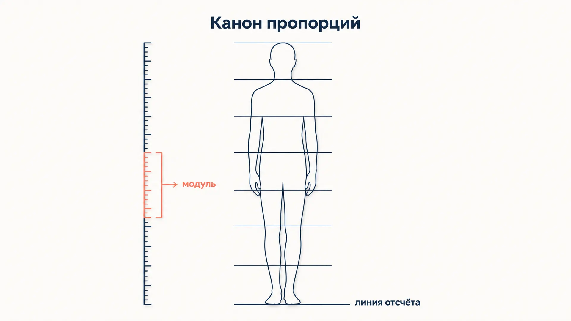 Канон пропорций: как модуль задаёт фигуру