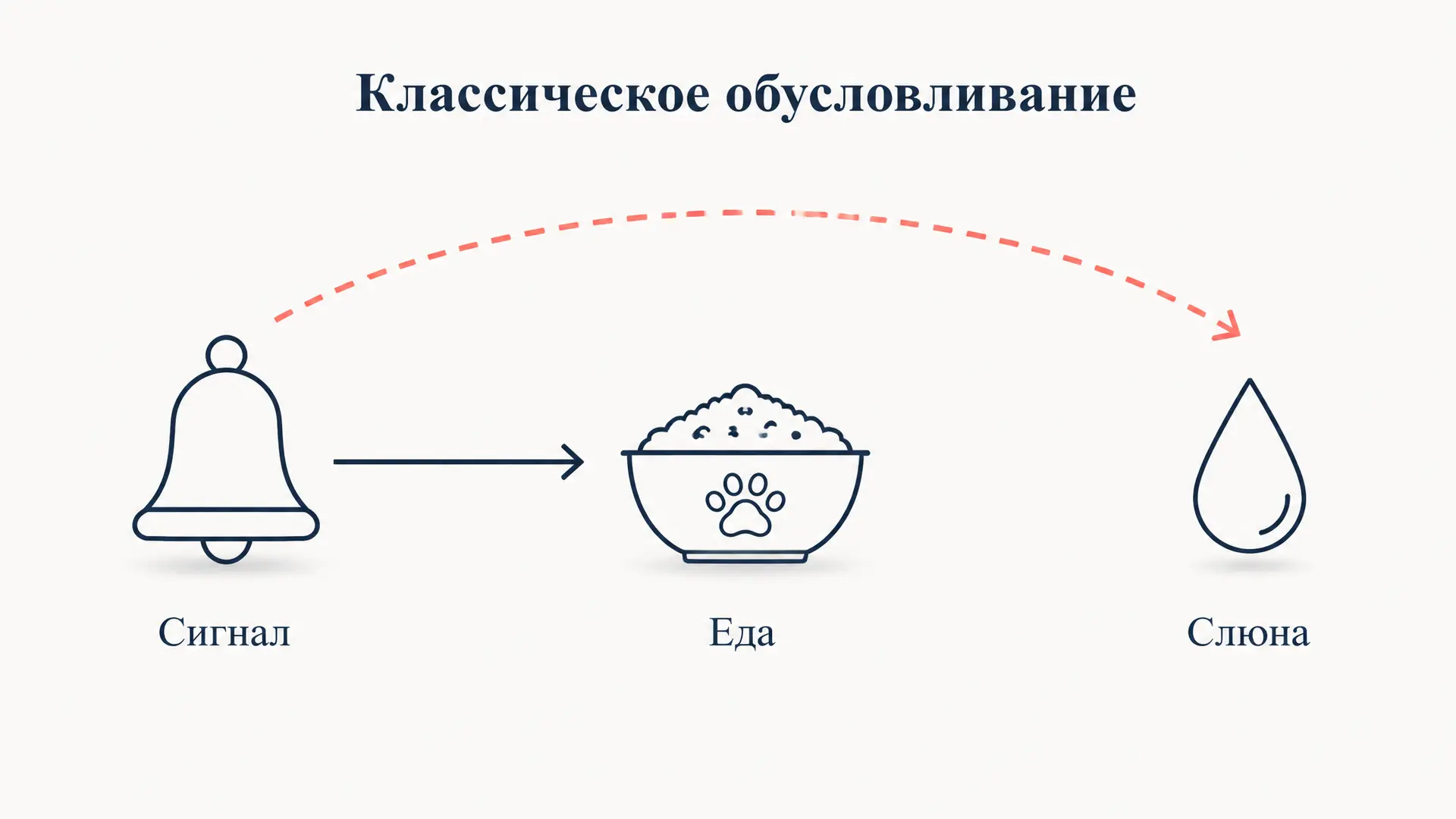 Классическое обусловливание: от Павлова до формулы