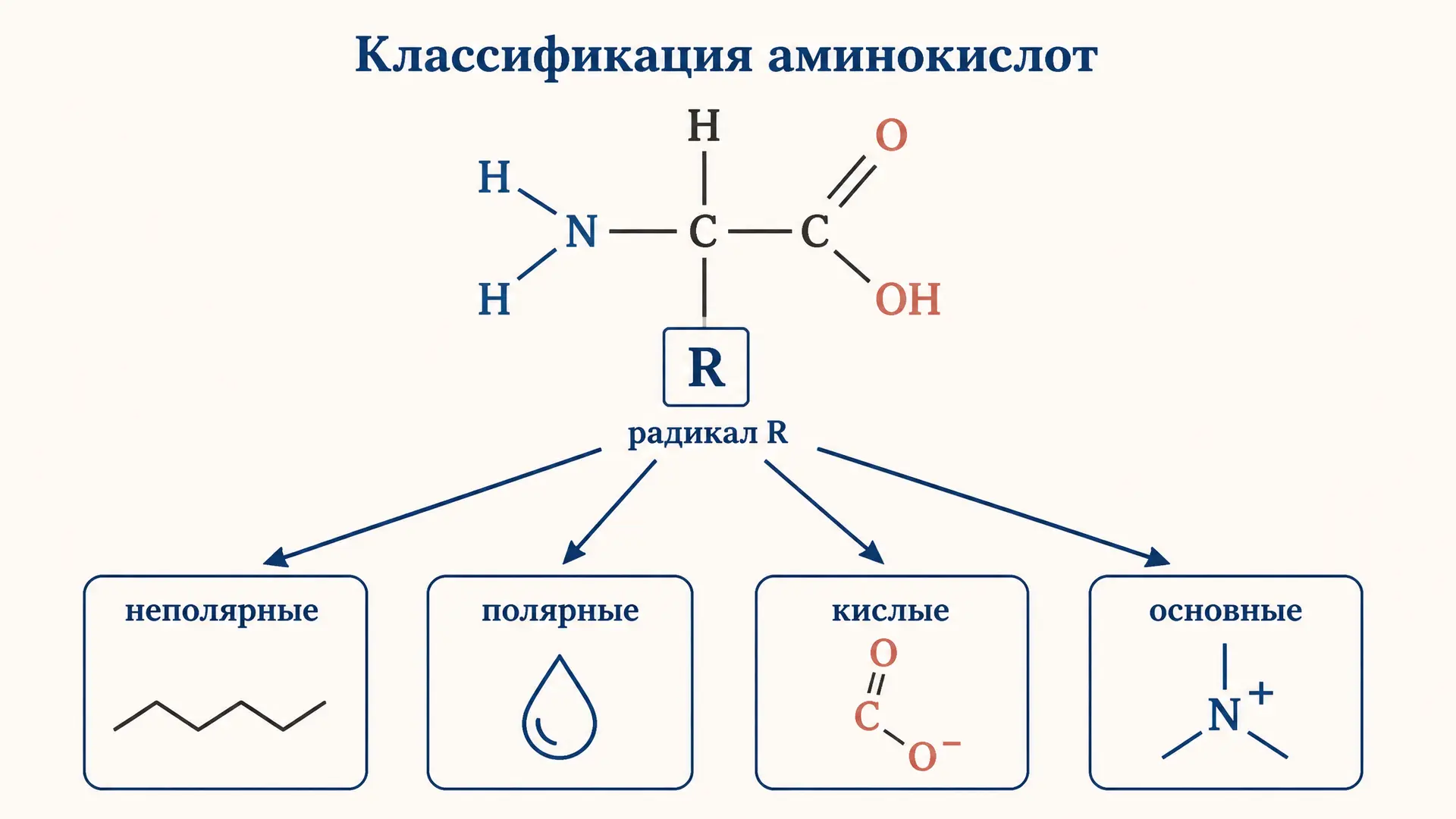 Классификация аминокислот по полярности радикала