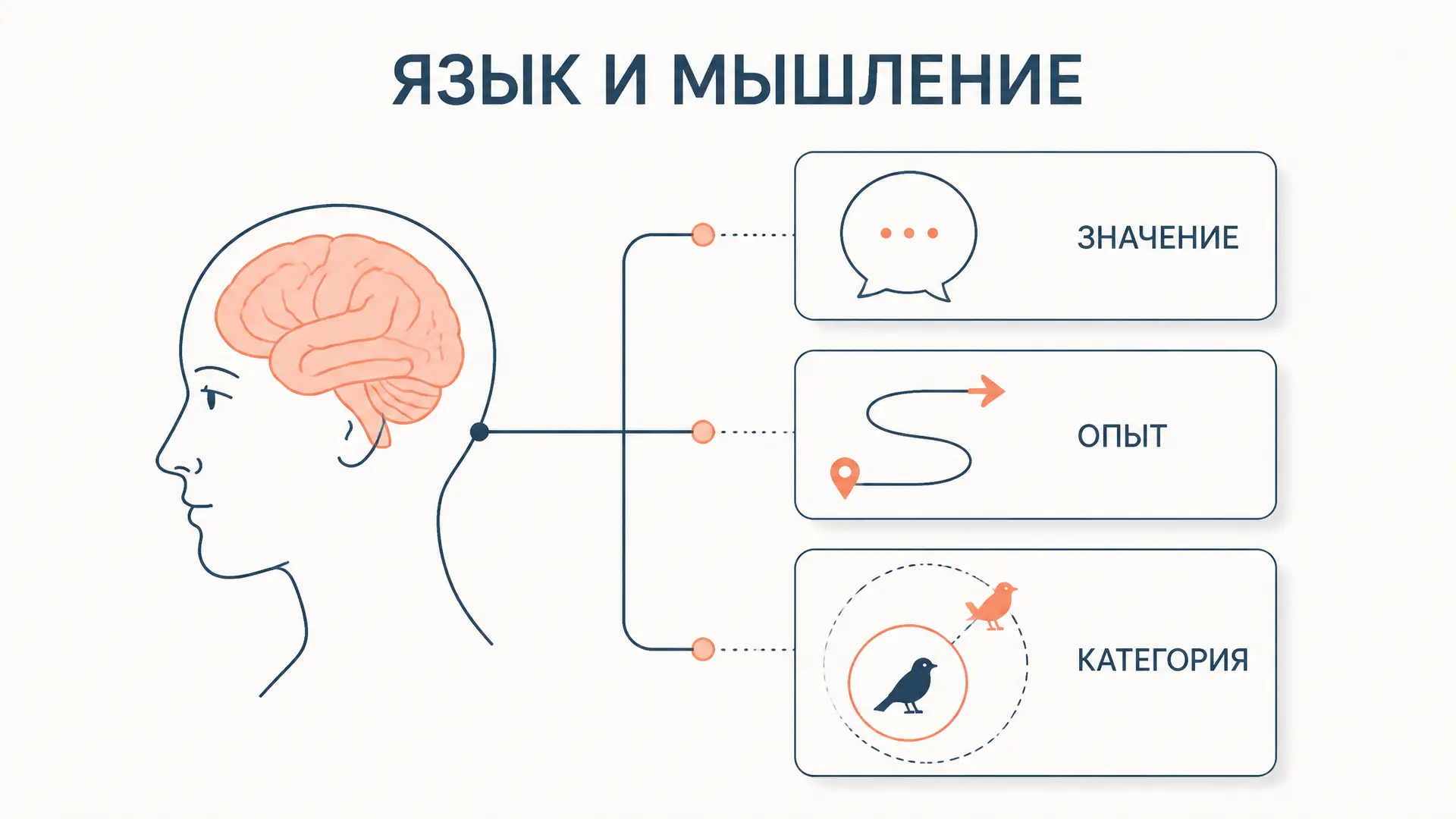Когнитивная лингвистика: язык и мышление