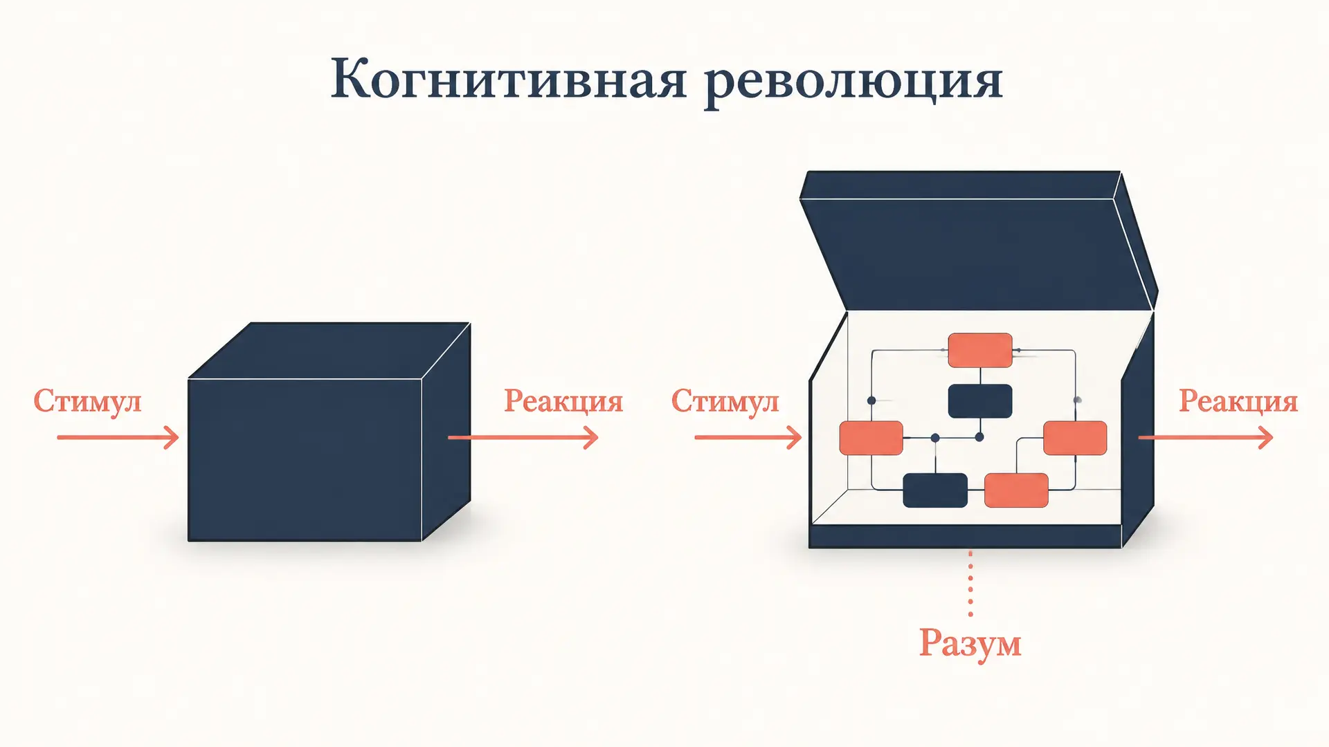 Когнитивная революция: как психология открыла разум