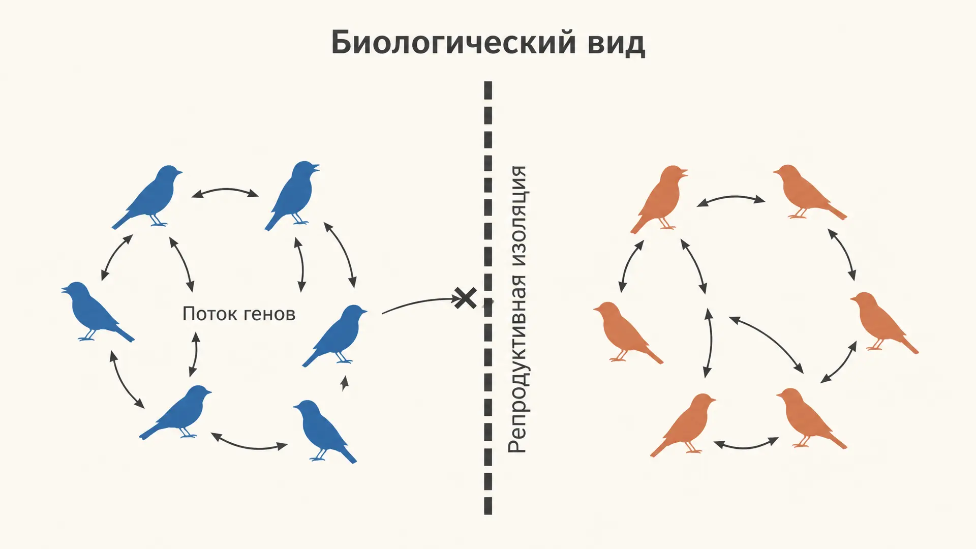 Концепция биологического вида: критерии и барьеры