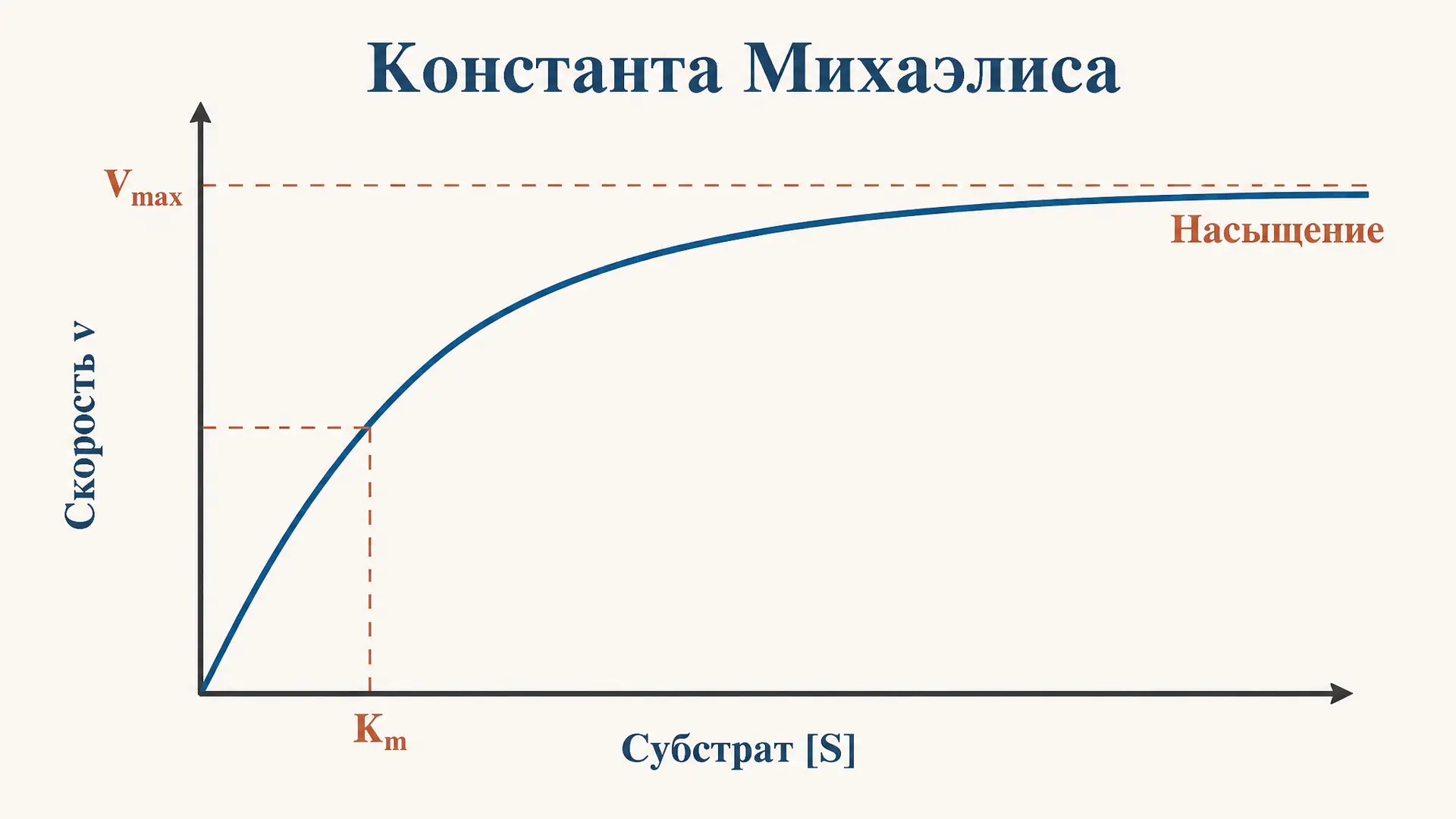 Константа Михаэлиса: физический смысл и применение