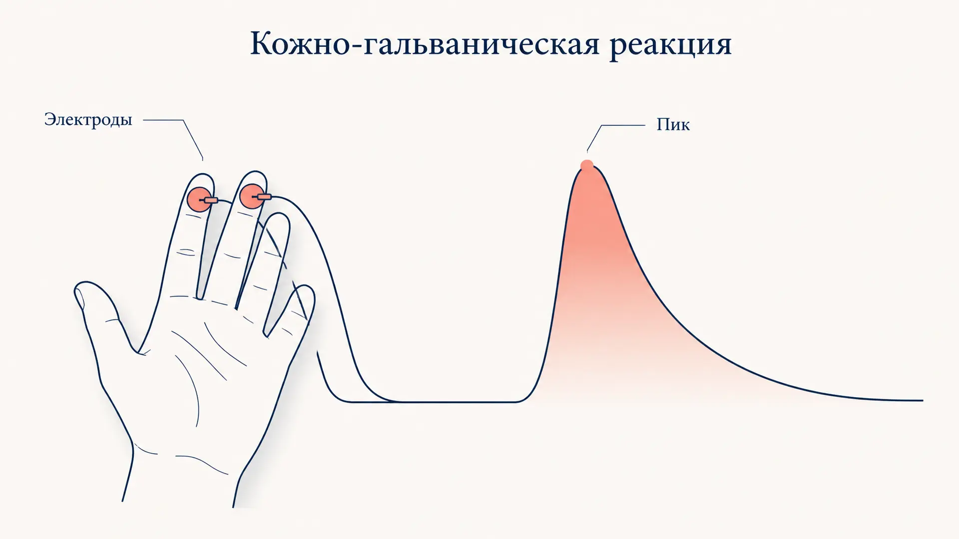 Кожно-гальваническая реакция: методы и параметры