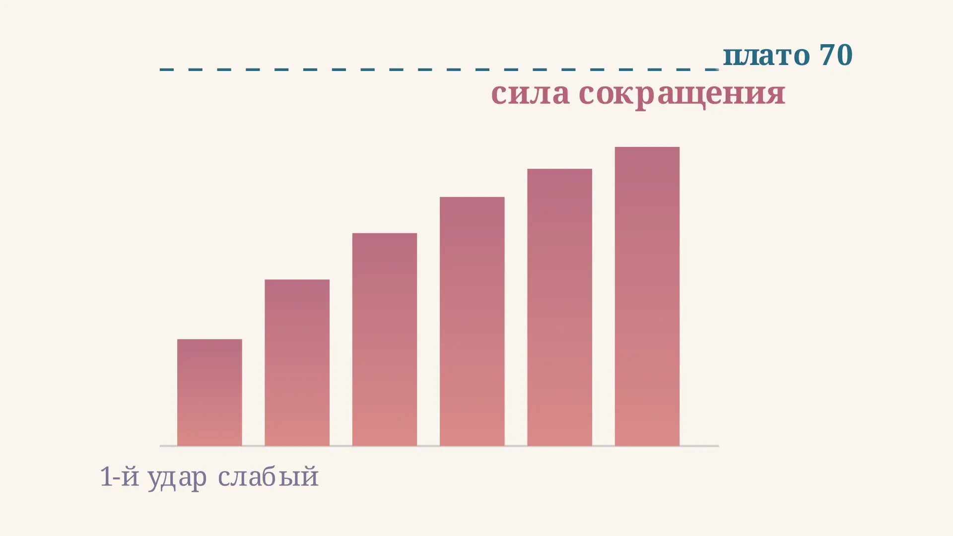 Лестница Боудича: сила сокращения и частота ритма