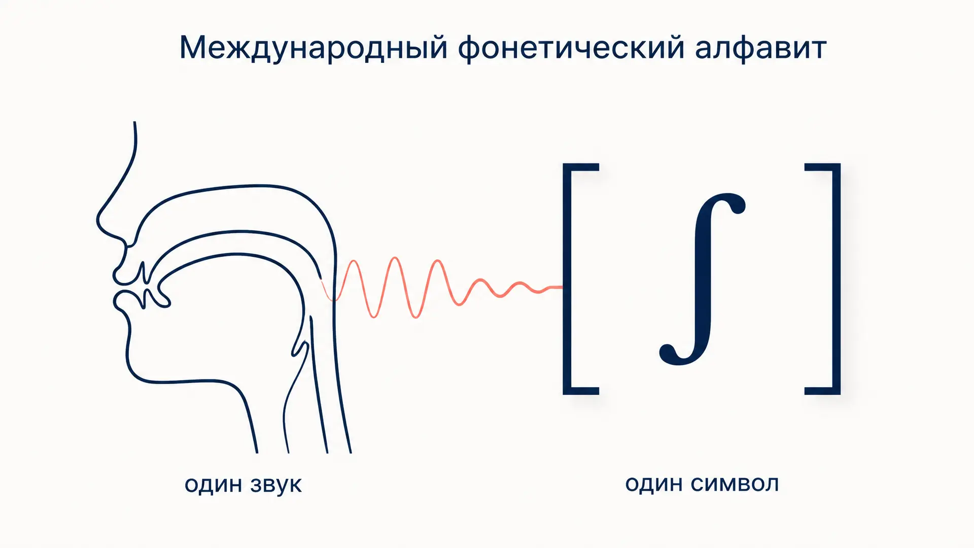 МФА алфавит: символы, таблица согласных и транскрипция