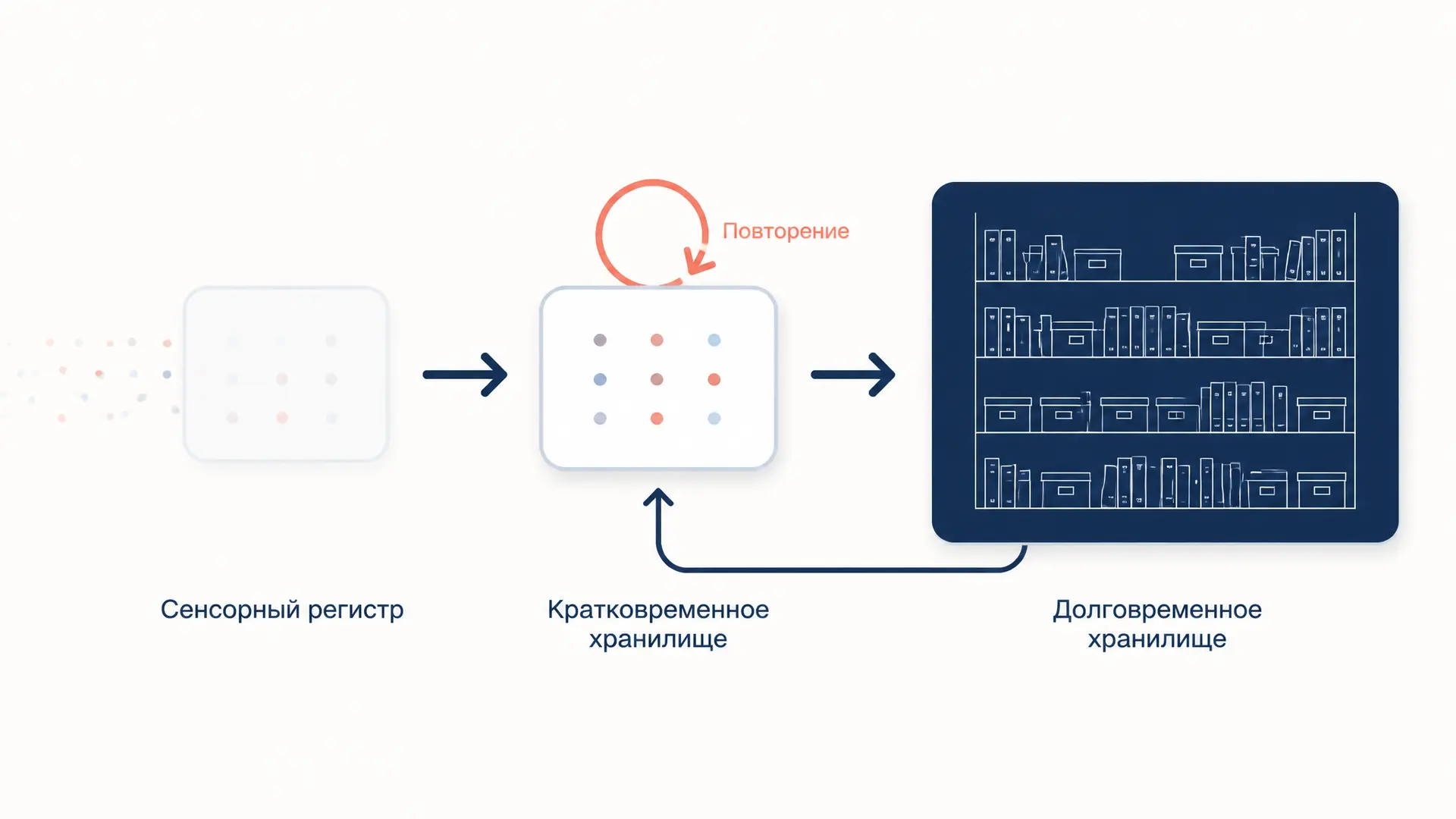 Модель памяти Аткинсона-Шиффрина: три хранилища и критика