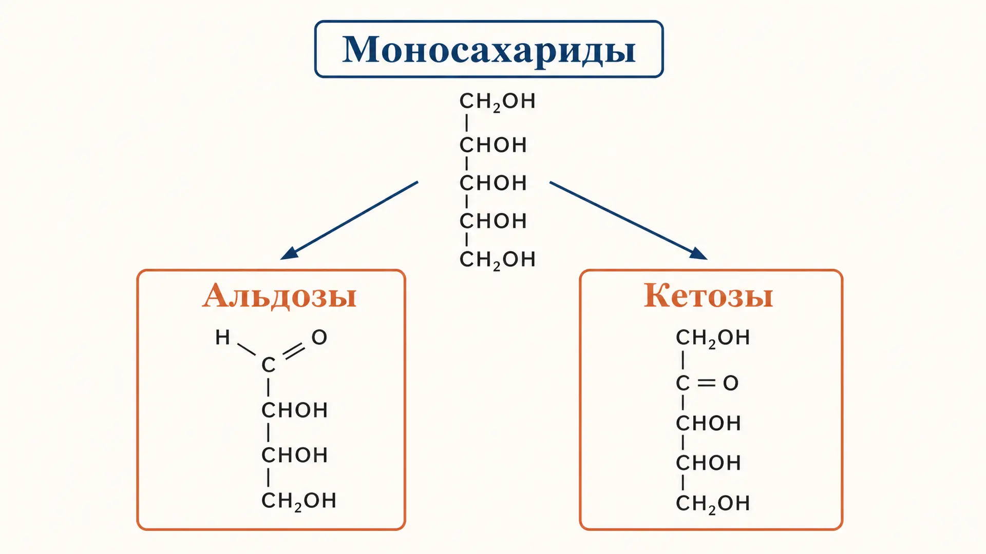 Моносахариды: классификация на альдозы и кетозы