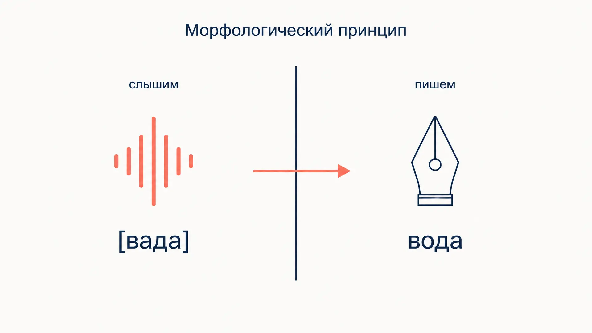 Морфологический принцип орфографии: суть и примеры