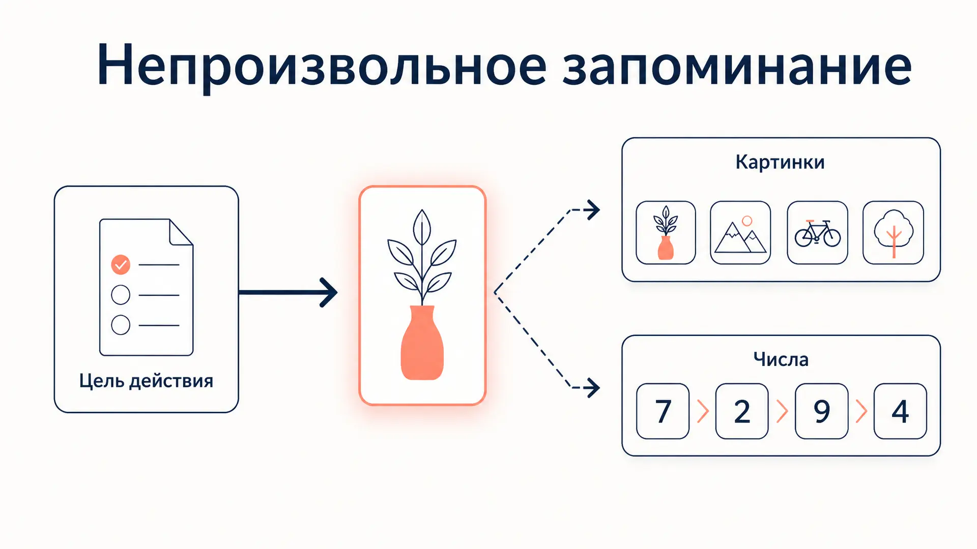 Непроизвольное запоминание Зинченко: опыт и выводы