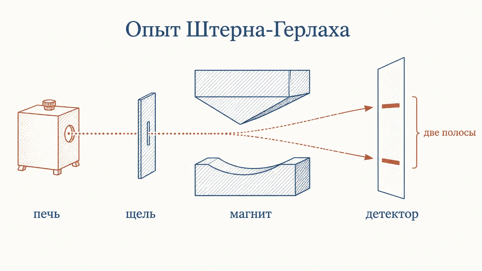 Опыт Штерна-Герлаха: как пучок атомов доказал спин электрона