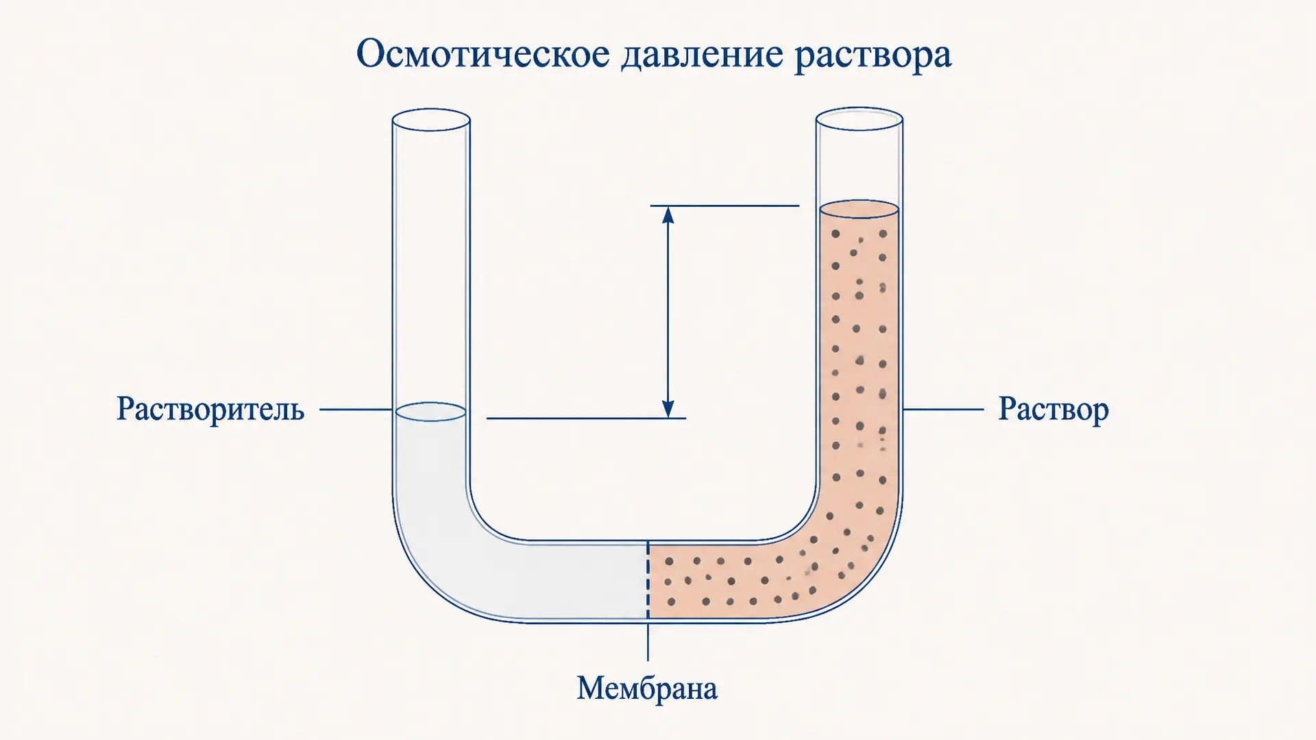 Осмотическое давление раствора: расчёт и поправки