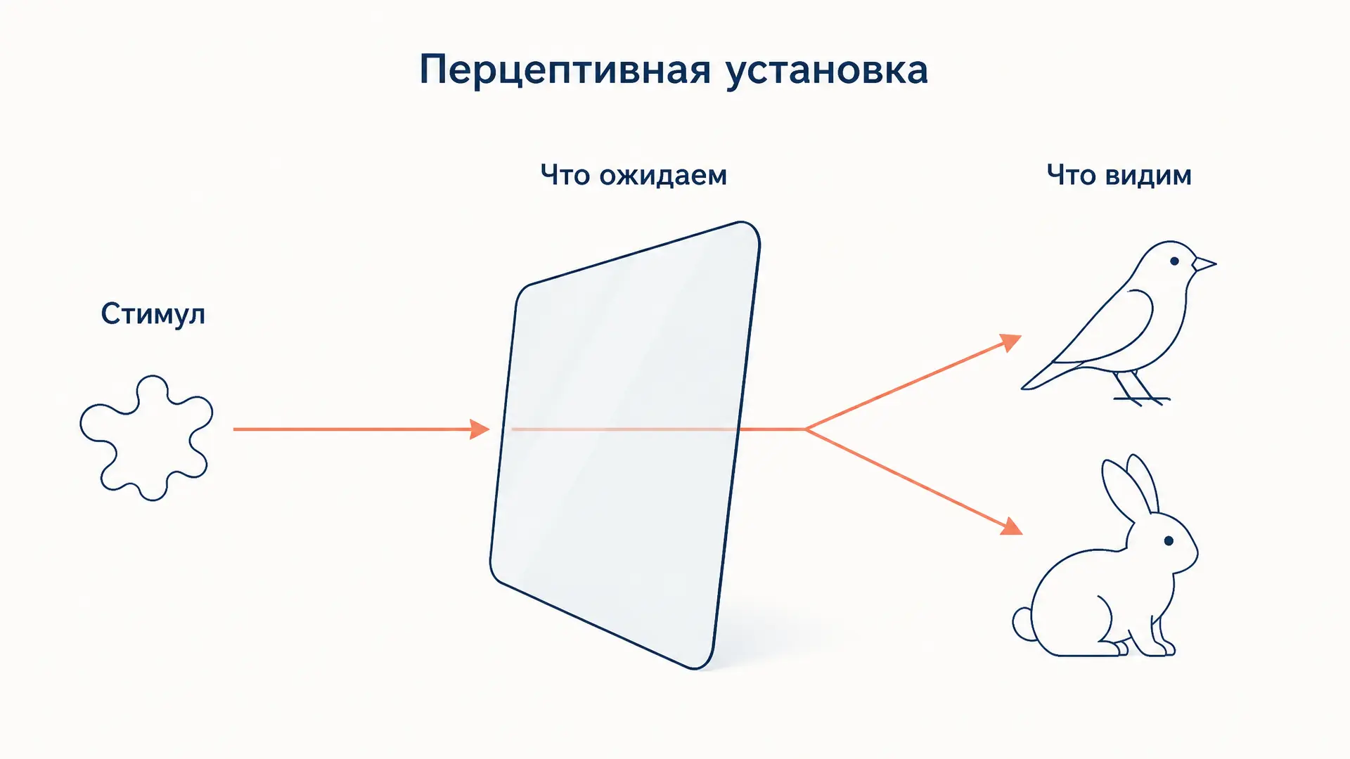 Перцептивная установка: почему мы видим ожидаемое