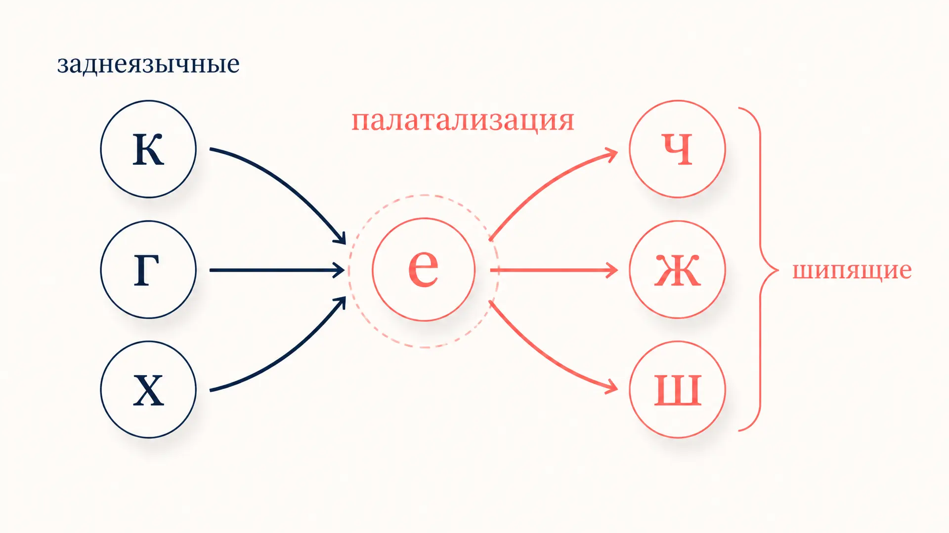 Первая палатализация заднеязычных: механизм и примеры