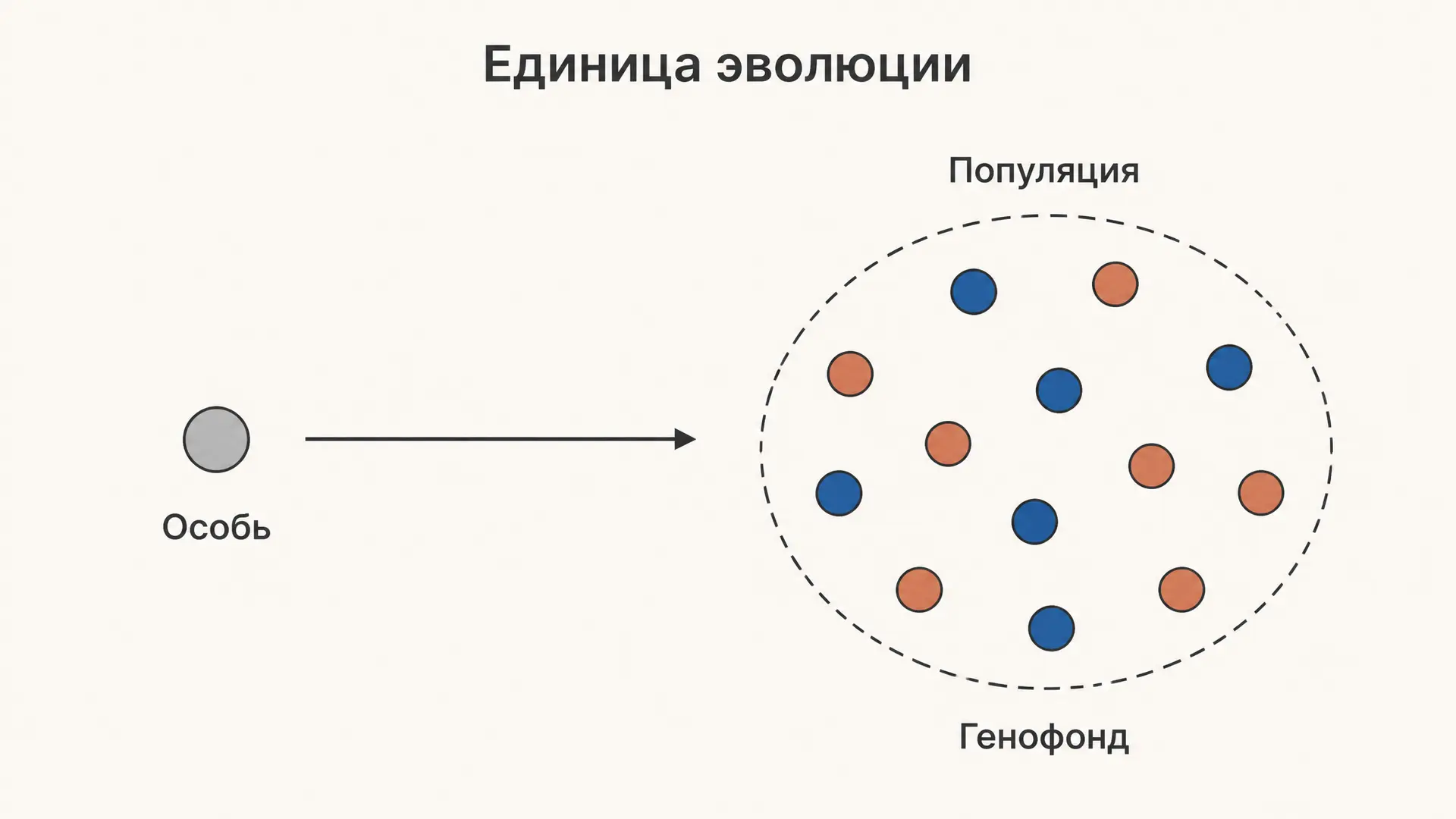 Популяция как единица эволюции: генофонд и отбор
