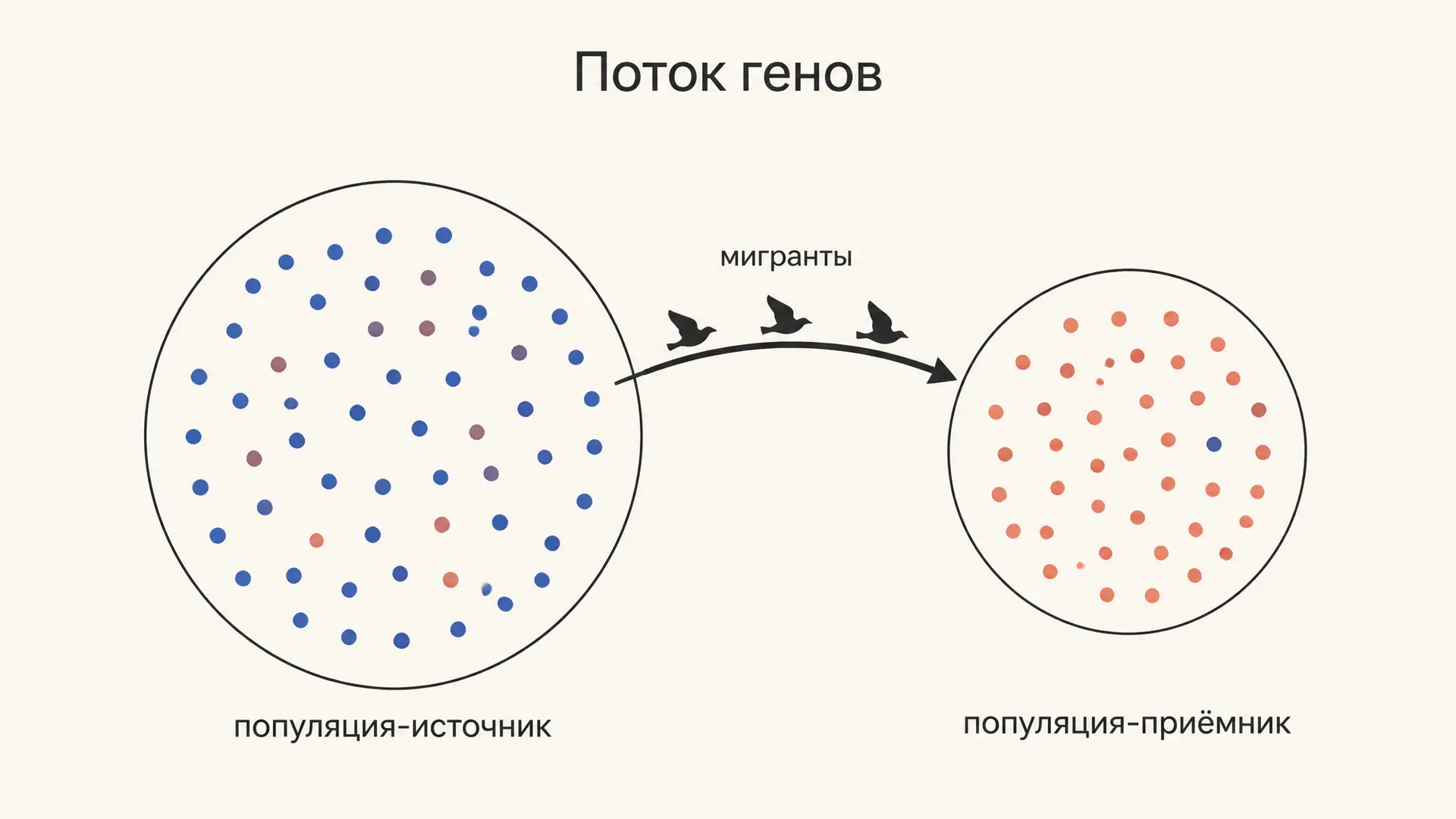 Поток генов: формула, коэффициент миграции и Fst