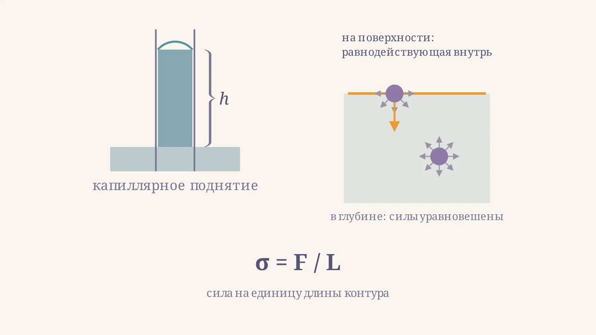 Поверхностное натяжение жидкости: определение и формула
