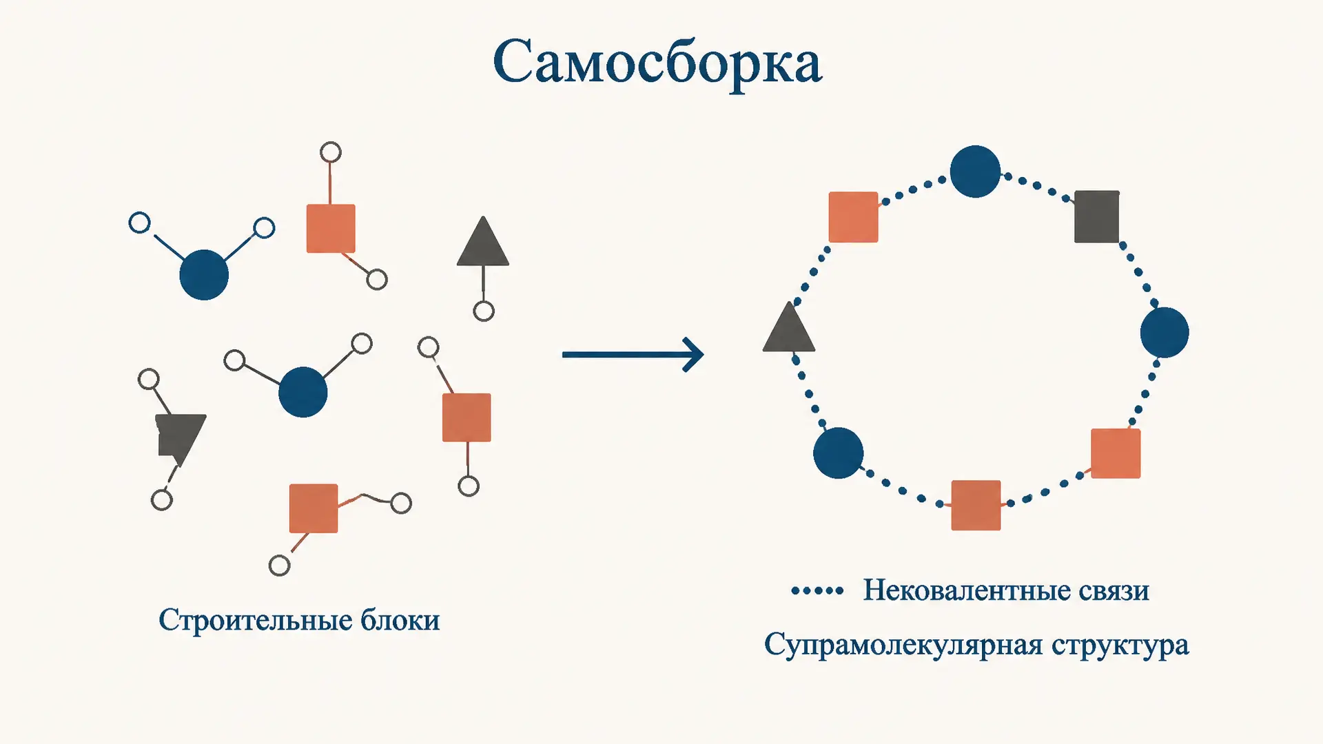Самосборка супрамолекулярных структур: как это работает