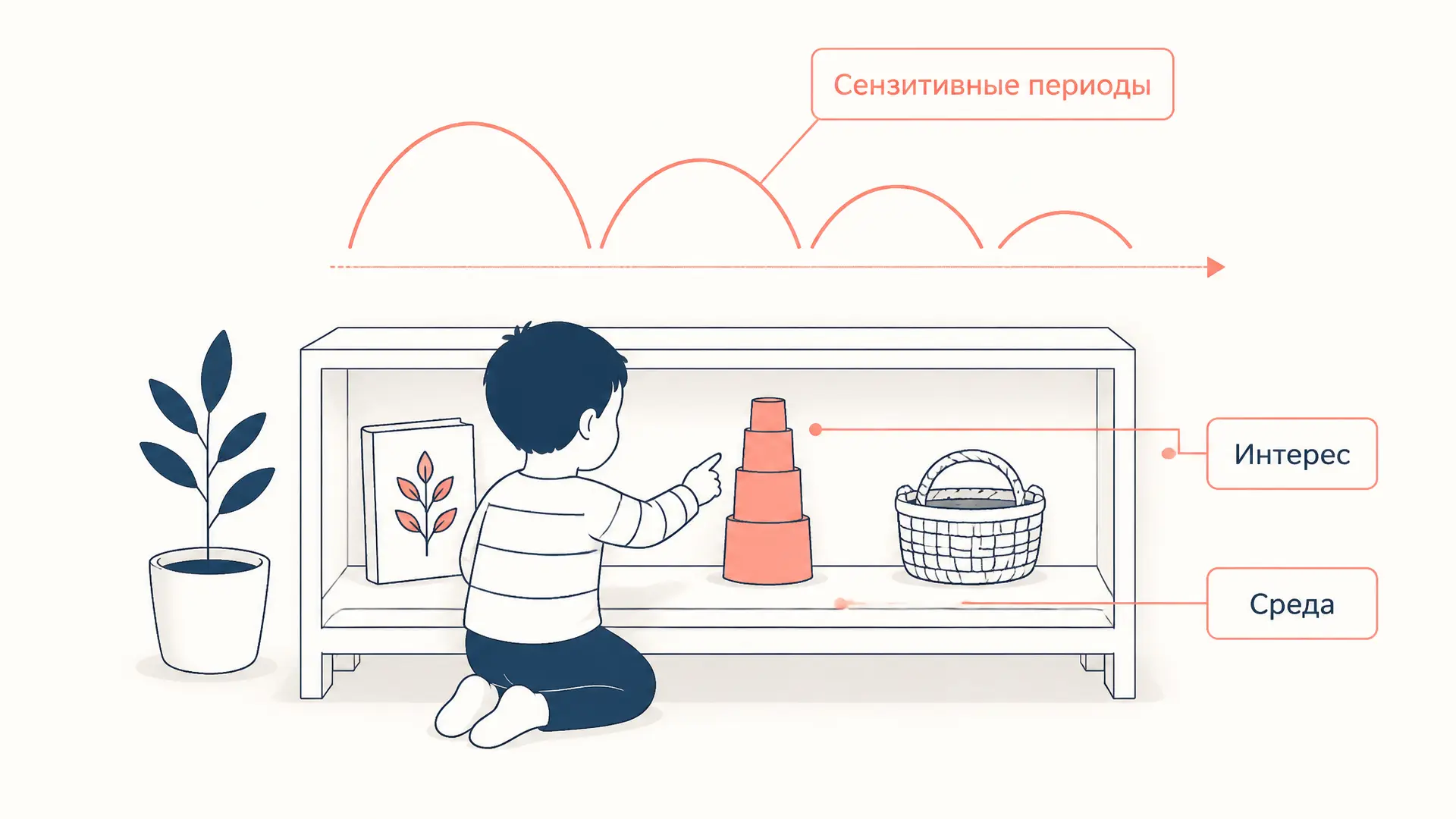 Сензитивные периоды развития: что важно ребёнку