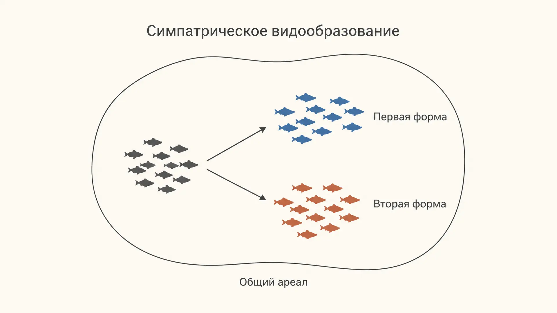 Симпатрическое видообразование: виды в общем ареале