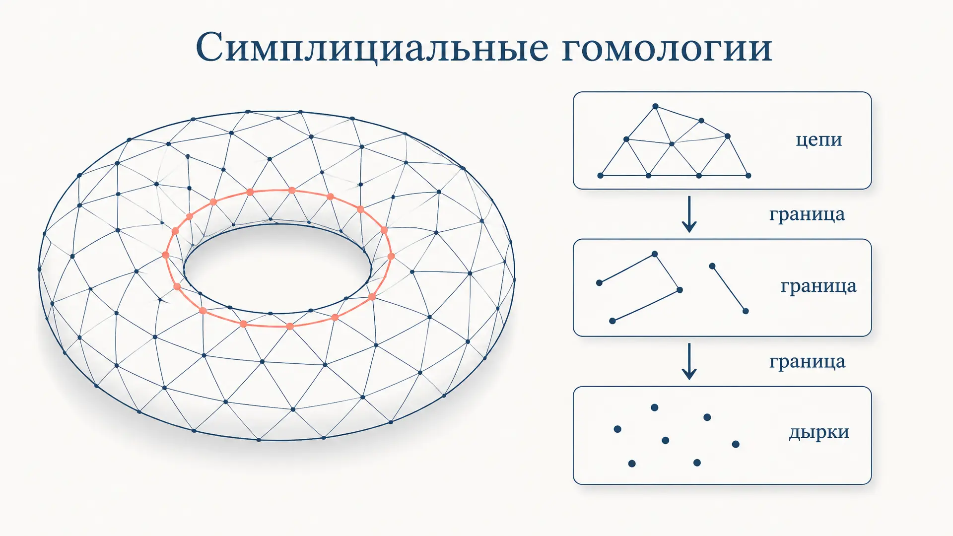 Симплициальные гомологии: считаем дырки комплекса