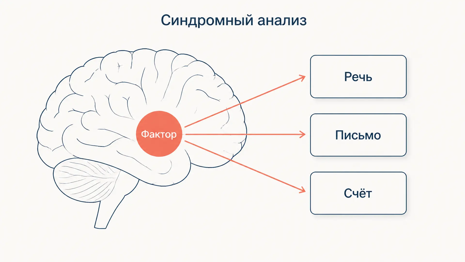 Синдромный анализ: метод Лурии в нейропсихологии
