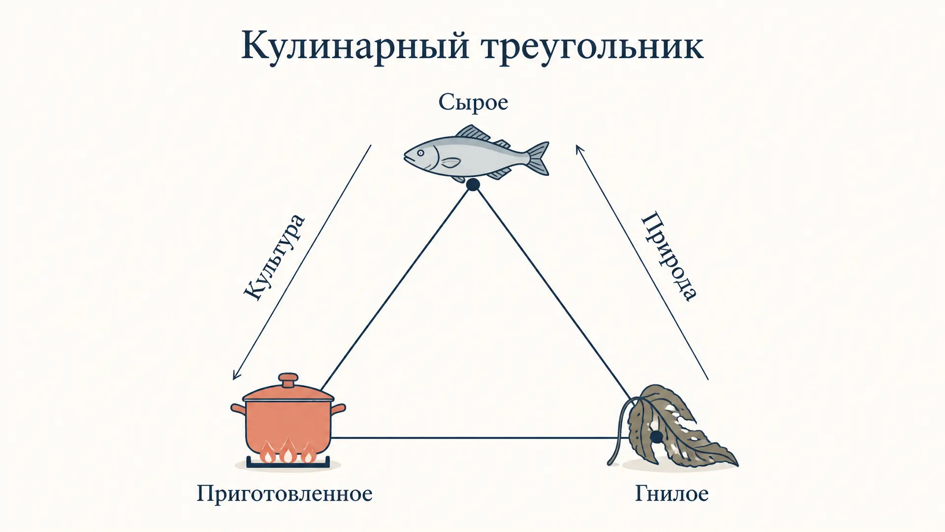 Сырое и приготовленное Леви-Стросса: кулинарный треугольник