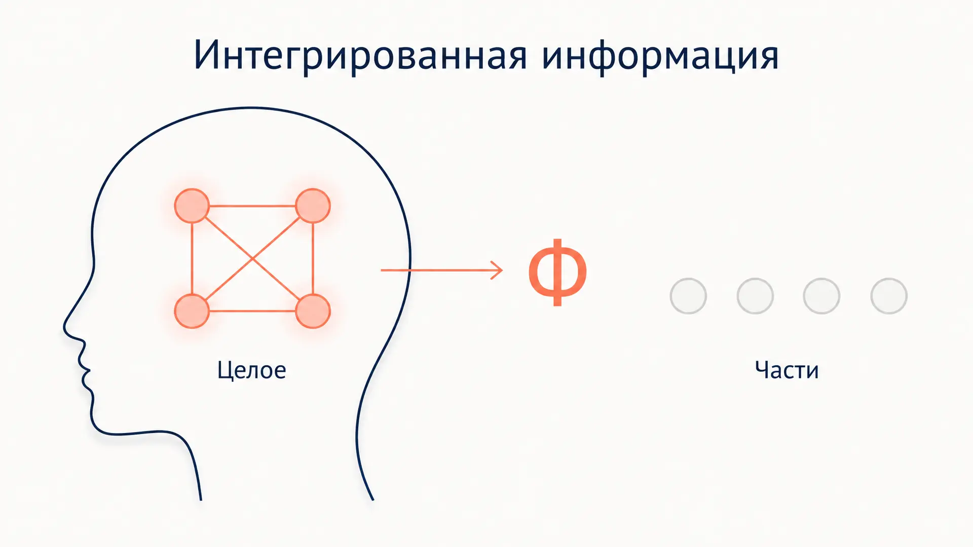 Теория интегрированной информации Тонони: аксиомы и Φ