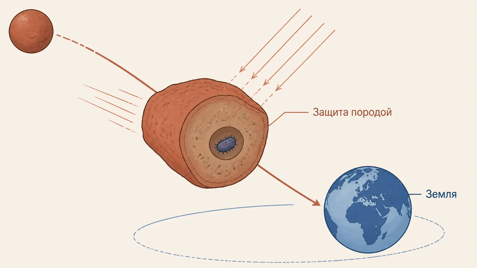 Теория панспермии: могла ли жизнь прилететь?