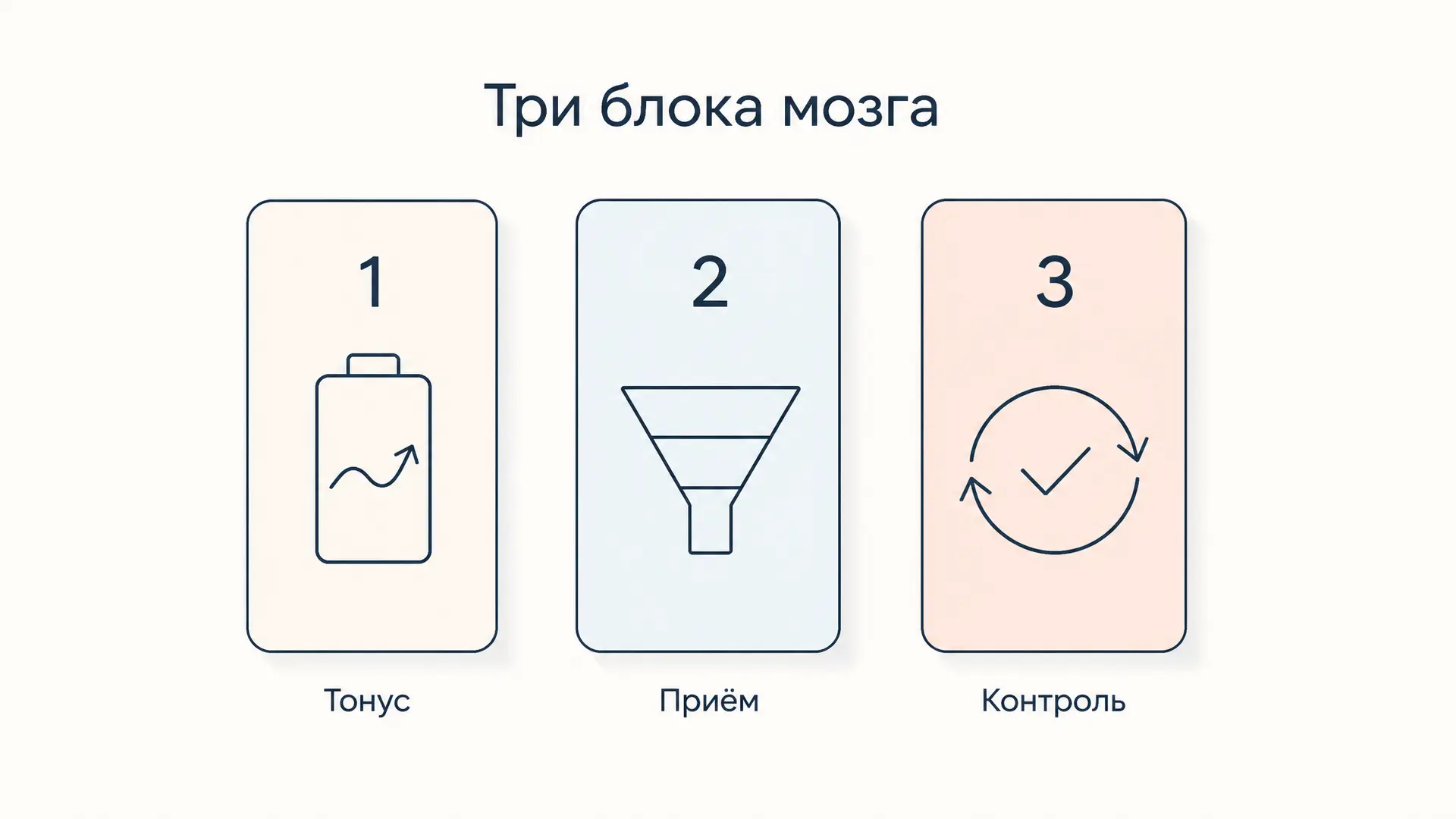 Три функциональных блока мозга: модель Лурии